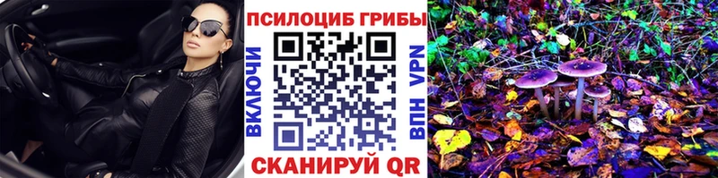 магазин продажи   Кохма  Псилоцибиновые грибы MAGIC MUSHROOMS 