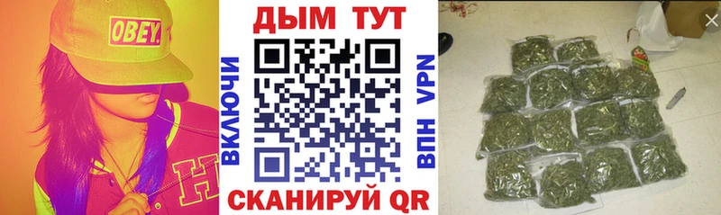 МАРИХУАНА ГИДРОПОН KRAKEN ССЫЛКА Кохма